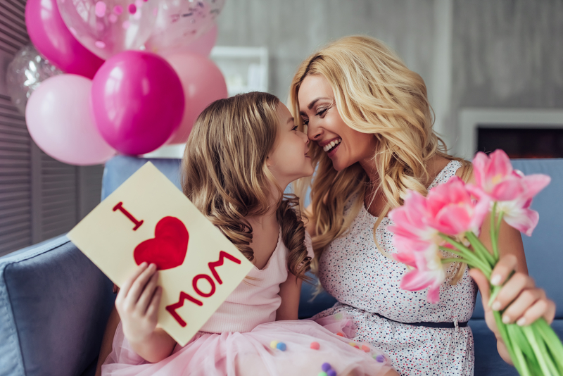 flowers  / lacecap flowers 