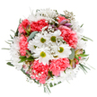 This vibrant Limehouse bouquet is a celebration of the area's energetic and welcoming spirit, expertly composed to spark joy and renewal. At its core, fresh white daisies shine with their lime-green centers, surrounded by plentiful coral-pink carnations whose lush ruffles carry the warmth of a local Docklands sunrise. Wisps of snowy gypsophila drift throughout, light as the air along the Thames, while silver eucalyptus and lush green leaves shape the arrangement with subtle fragrance and visual harmony. Delicate blush and purple hues peek out in alstroemeria buds, hinting at unfolding beauty. The palette is cheerful and clear, making this bouquet ideal for commemorating birthdays, anniversaries, or simply brightening up a home by Limehouse Basin. The joyful yet serene composition is thoughtfully balanced-every stem chosen for freshness and impact, each flower set by a florist familiar with Limehouse tastes. Designed for special deliveries or heartfelt gestures, this arrangement's exuberance and calm grace any occasion across E14, radiating optimism and a sense of celebration.